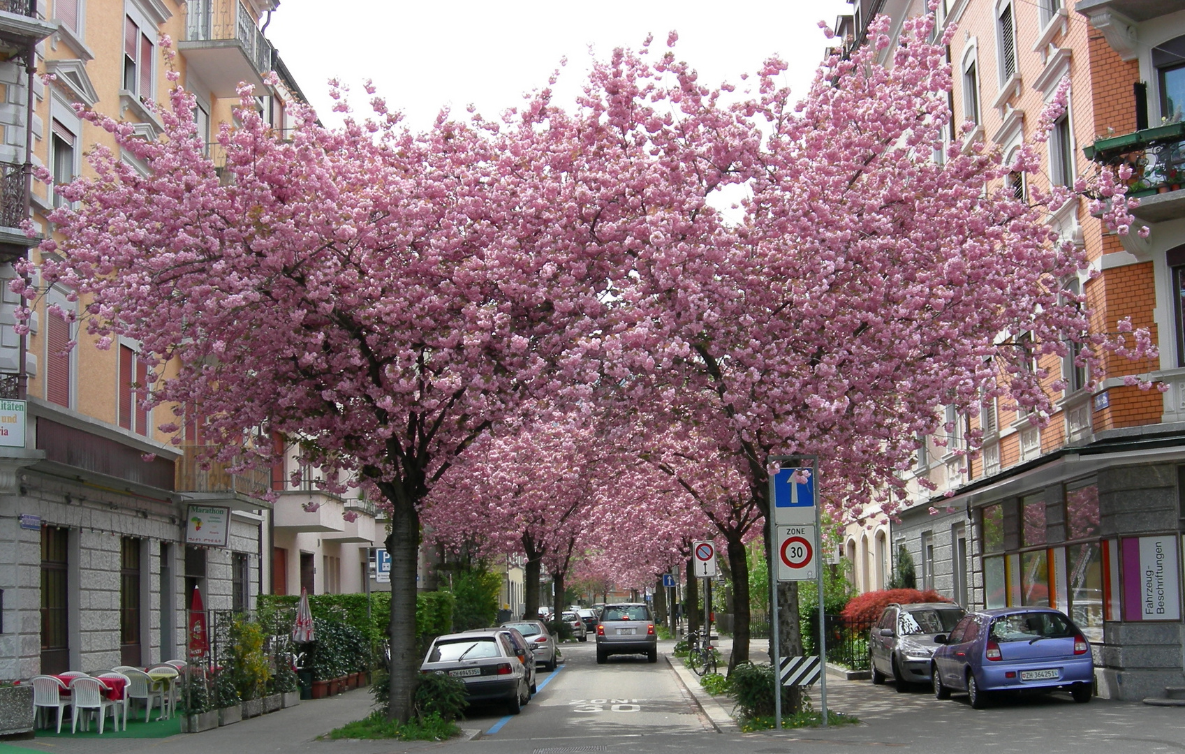 Frühling in Zürich