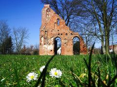 Frühling inder Klosterruine