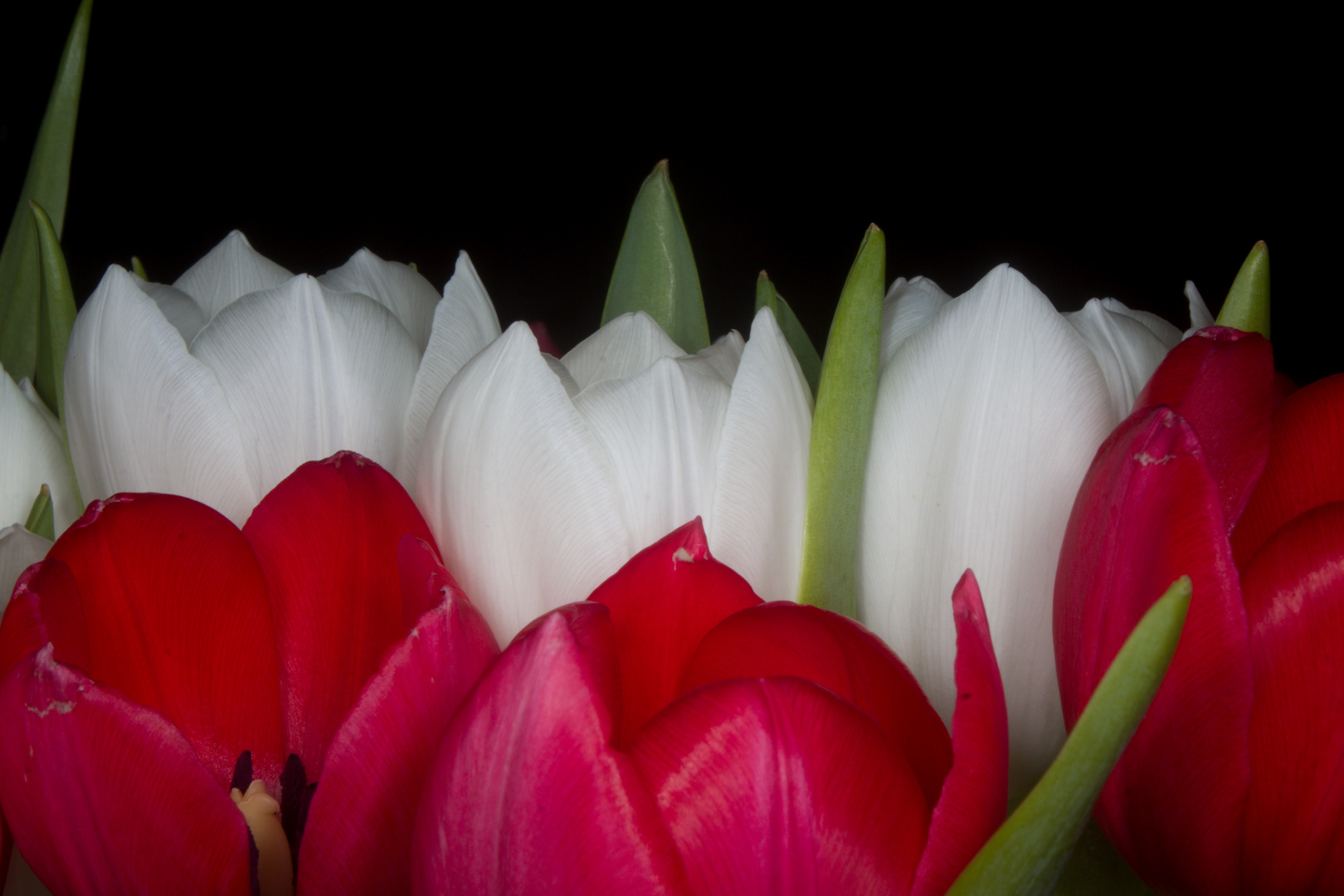 Frühling Indoor