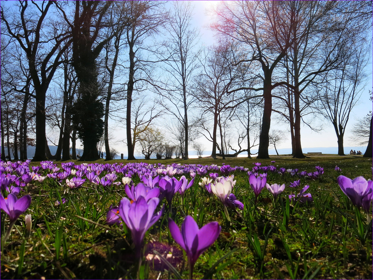 frühling is