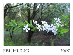 Frühling isses...