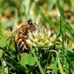 Frühling ist da!