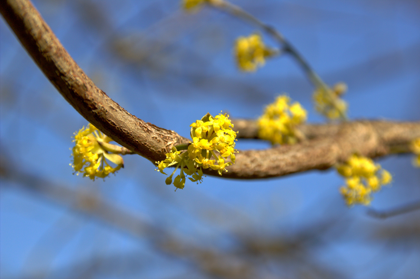 frühling ist da :-)