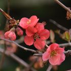 Frühling ist da!