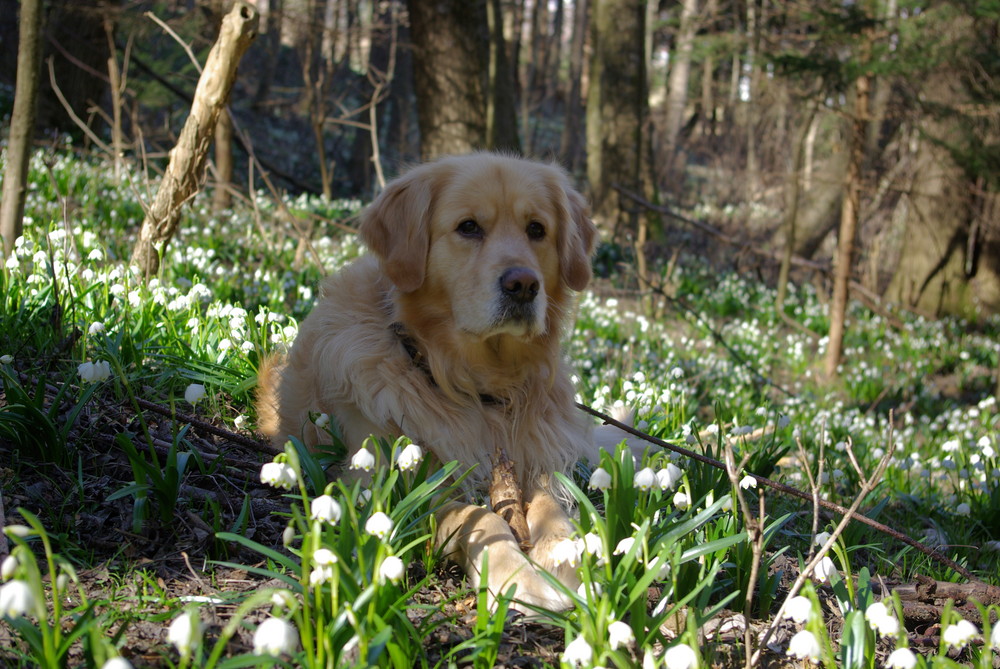 Frühling ist da!!