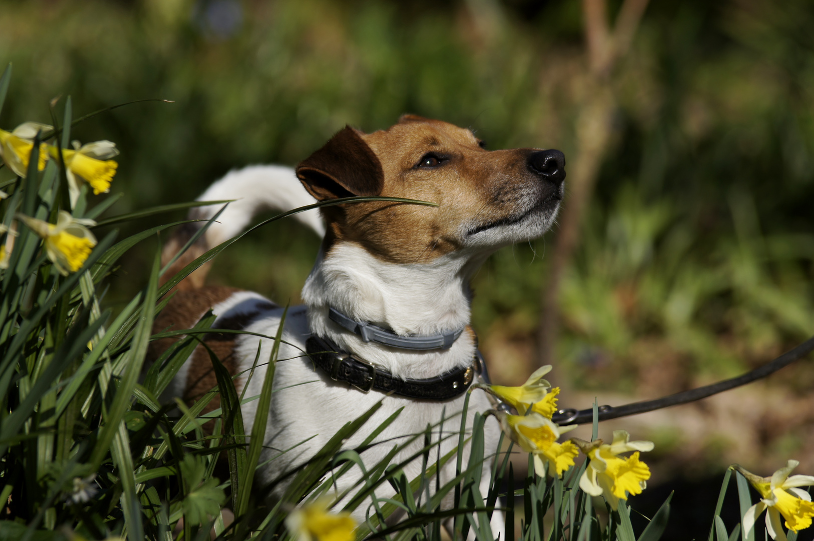 Frühling ist da!!!