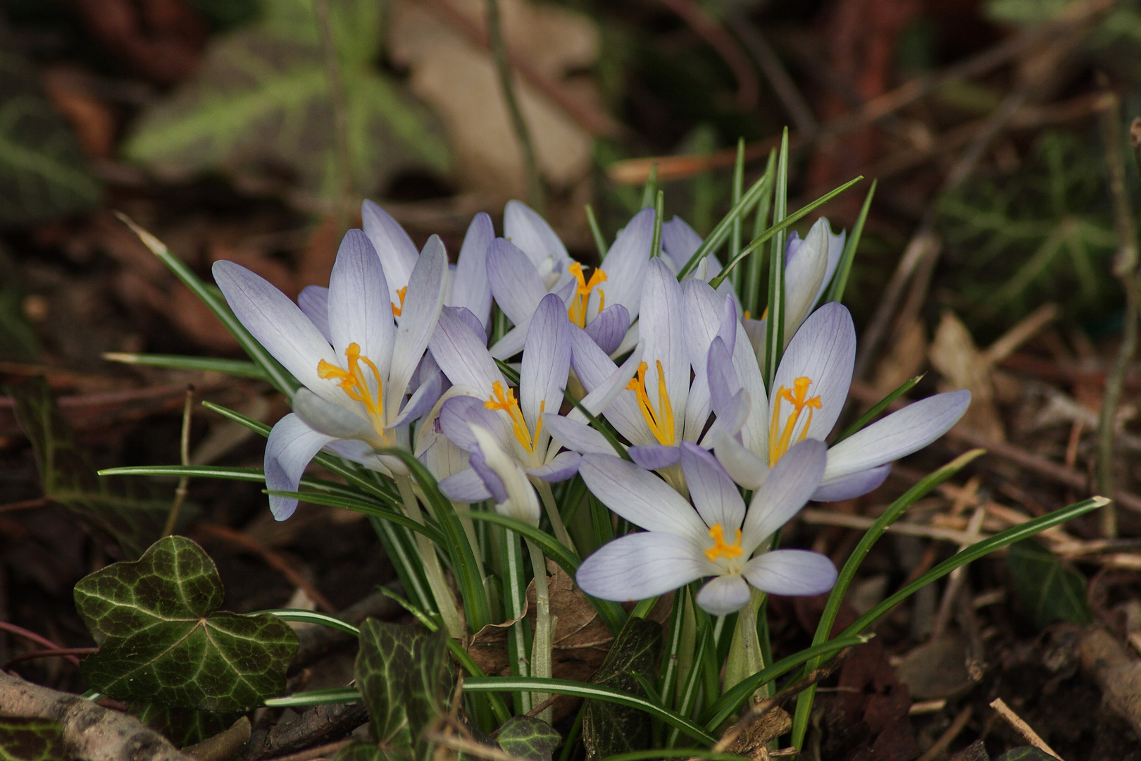 Frühling ist da!