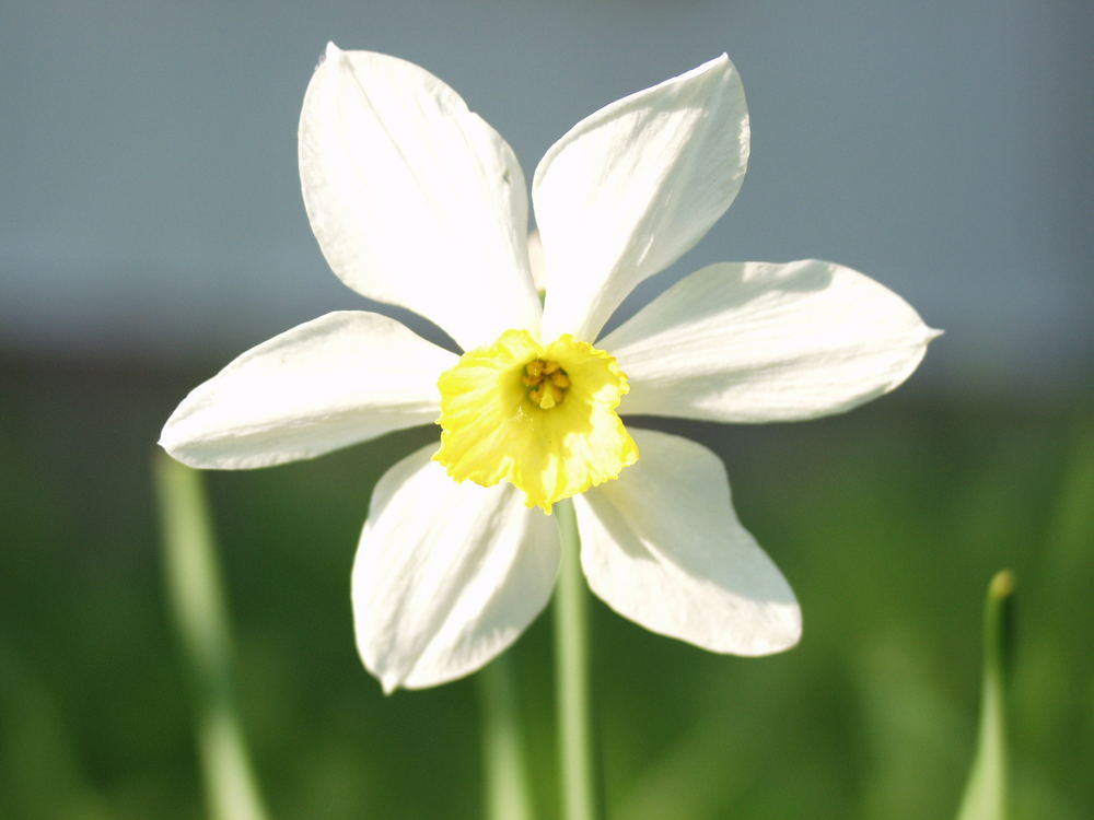 Frühling ist da