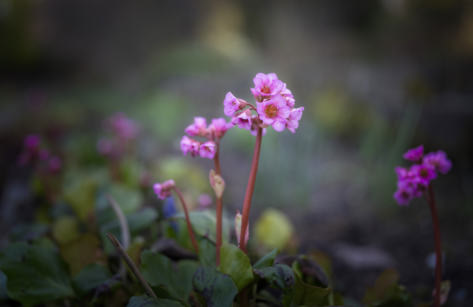 Frühling ist da