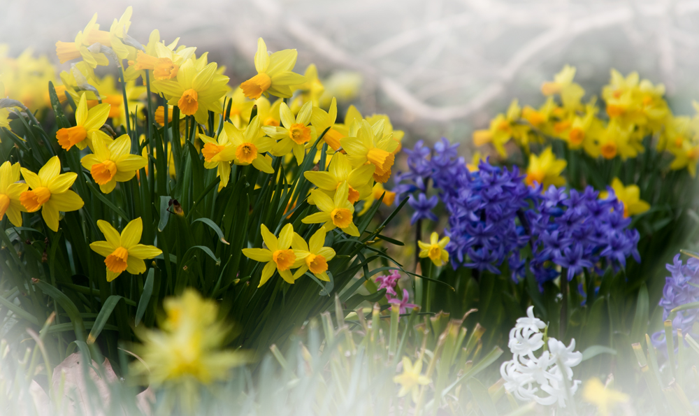 Frühling ist die schönste Jahreszeit