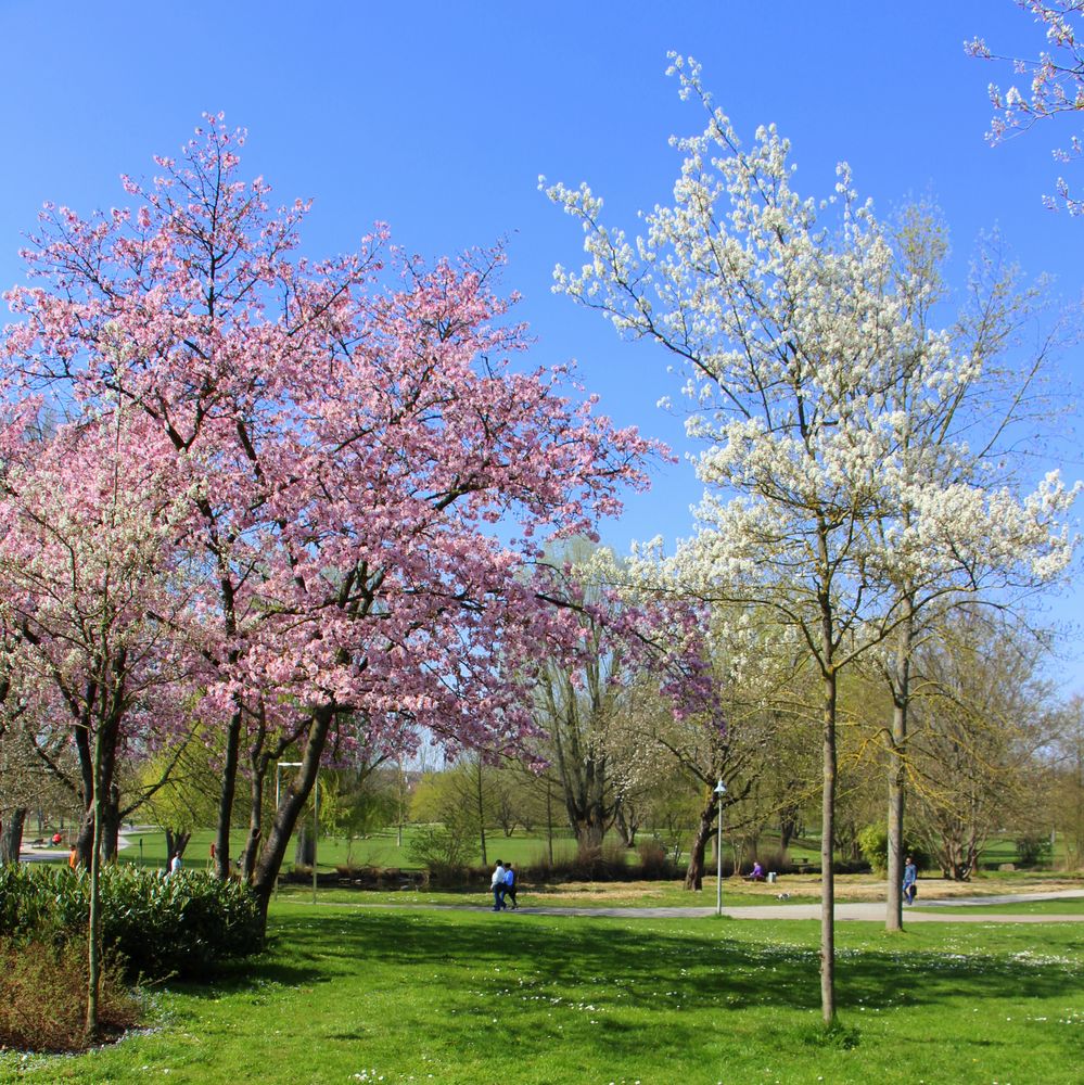 Frühling ist die schönste Zeit