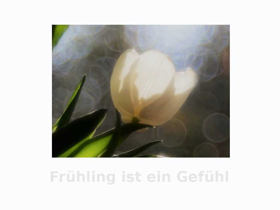 Frühling ist ein Gefühl