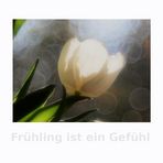 Frühling ist ein Gefühl