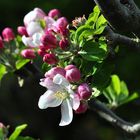 Frühling ist eine wunderbare Jahreszeit