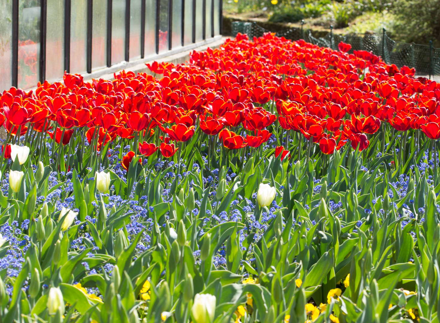 Frühling ist endlich da