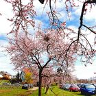 Frühling ist endlich da!