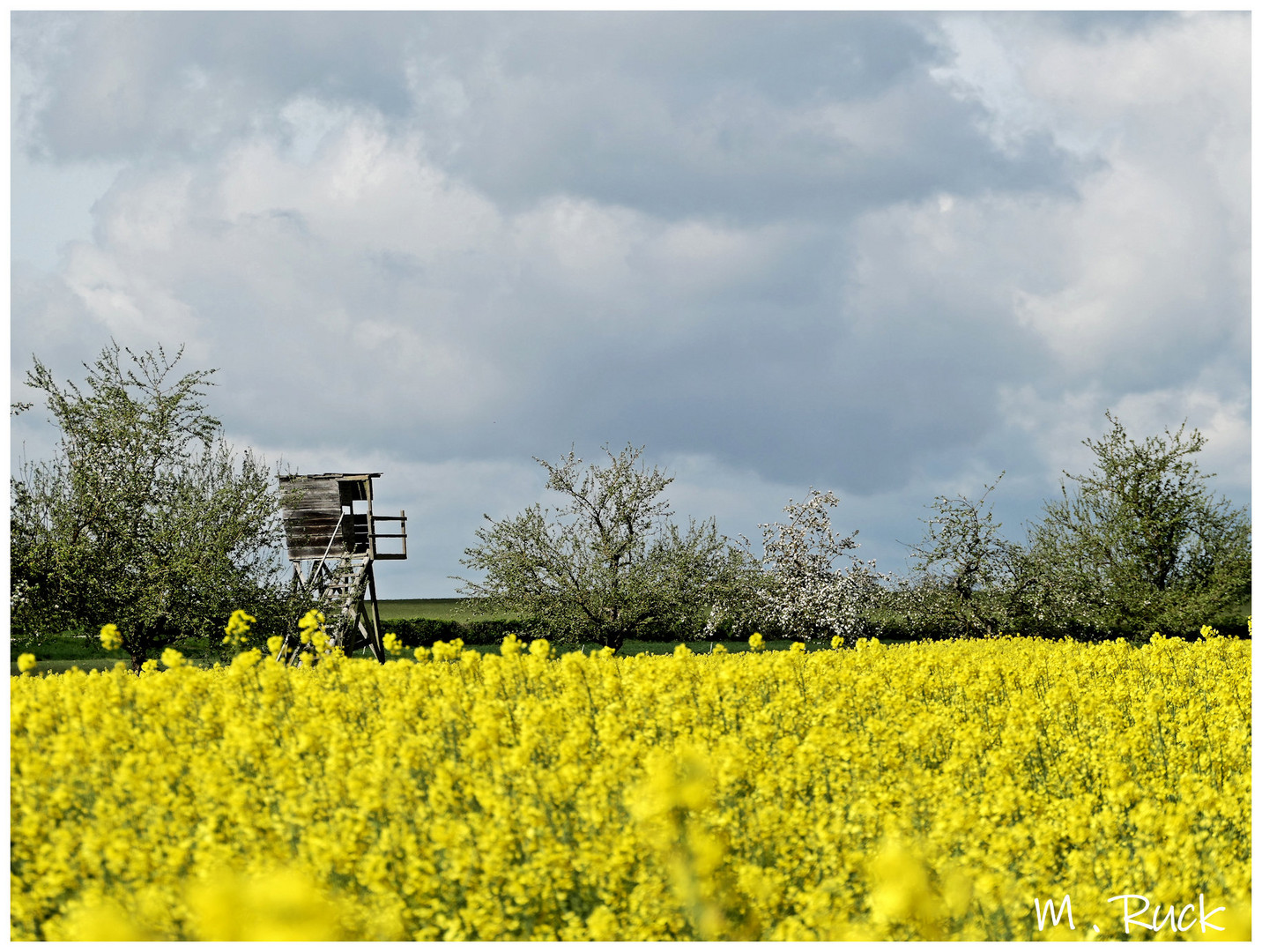 Frühling ist es ,