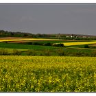 Frühling ist es endlich