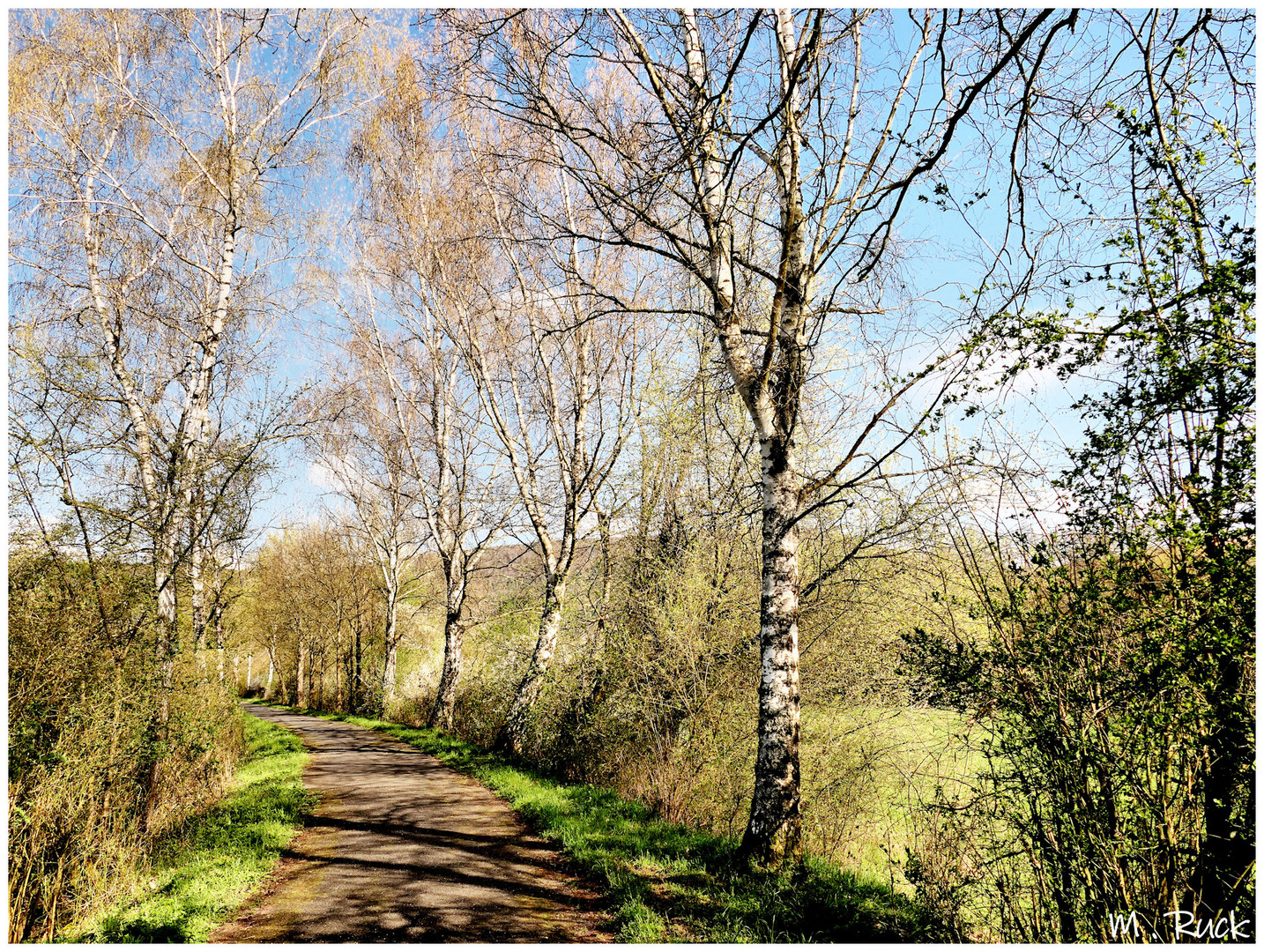 Frühling ist es halt 