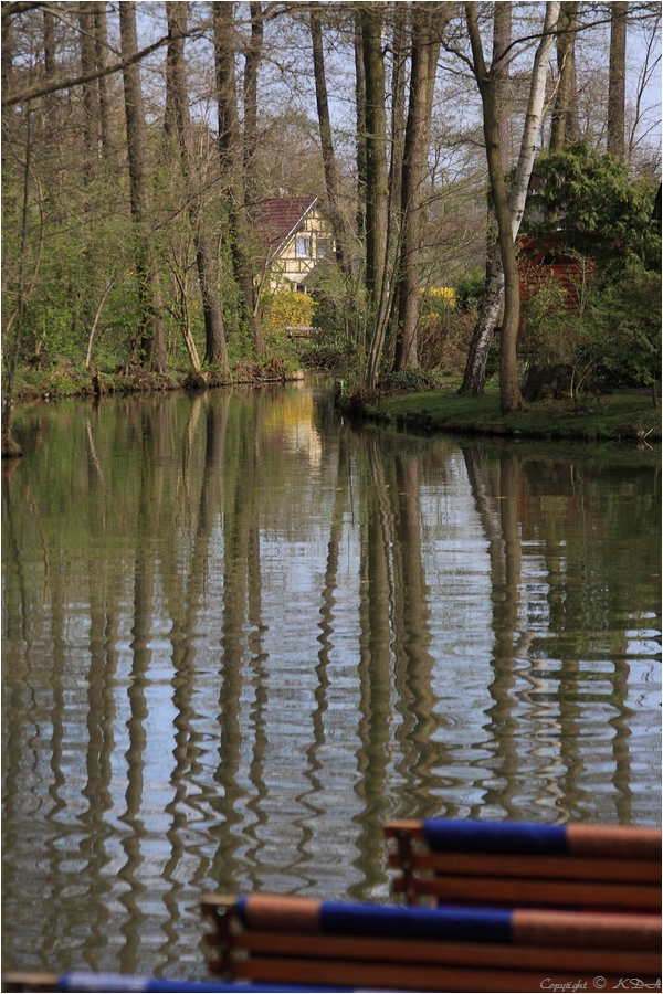 Frühling ... ist es im Spreewald