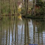 Frühling ... ist es im Spreewald