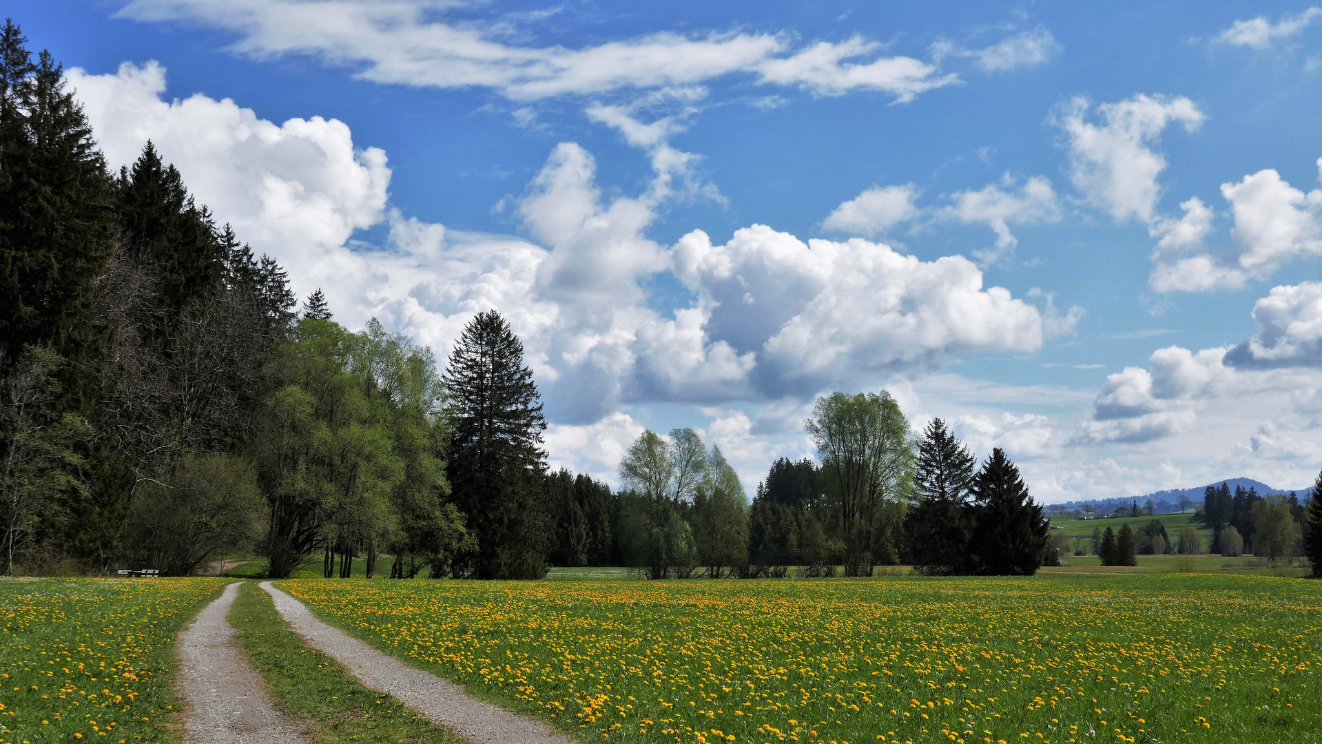 Frühling ist gekommen