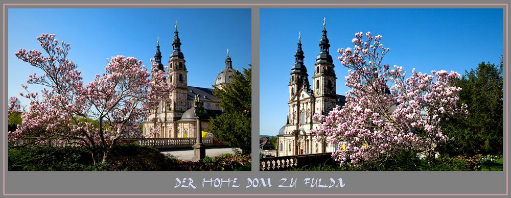 Frühling ist in Fulda angekommen