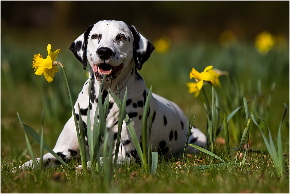 Frühling ist ja so schön