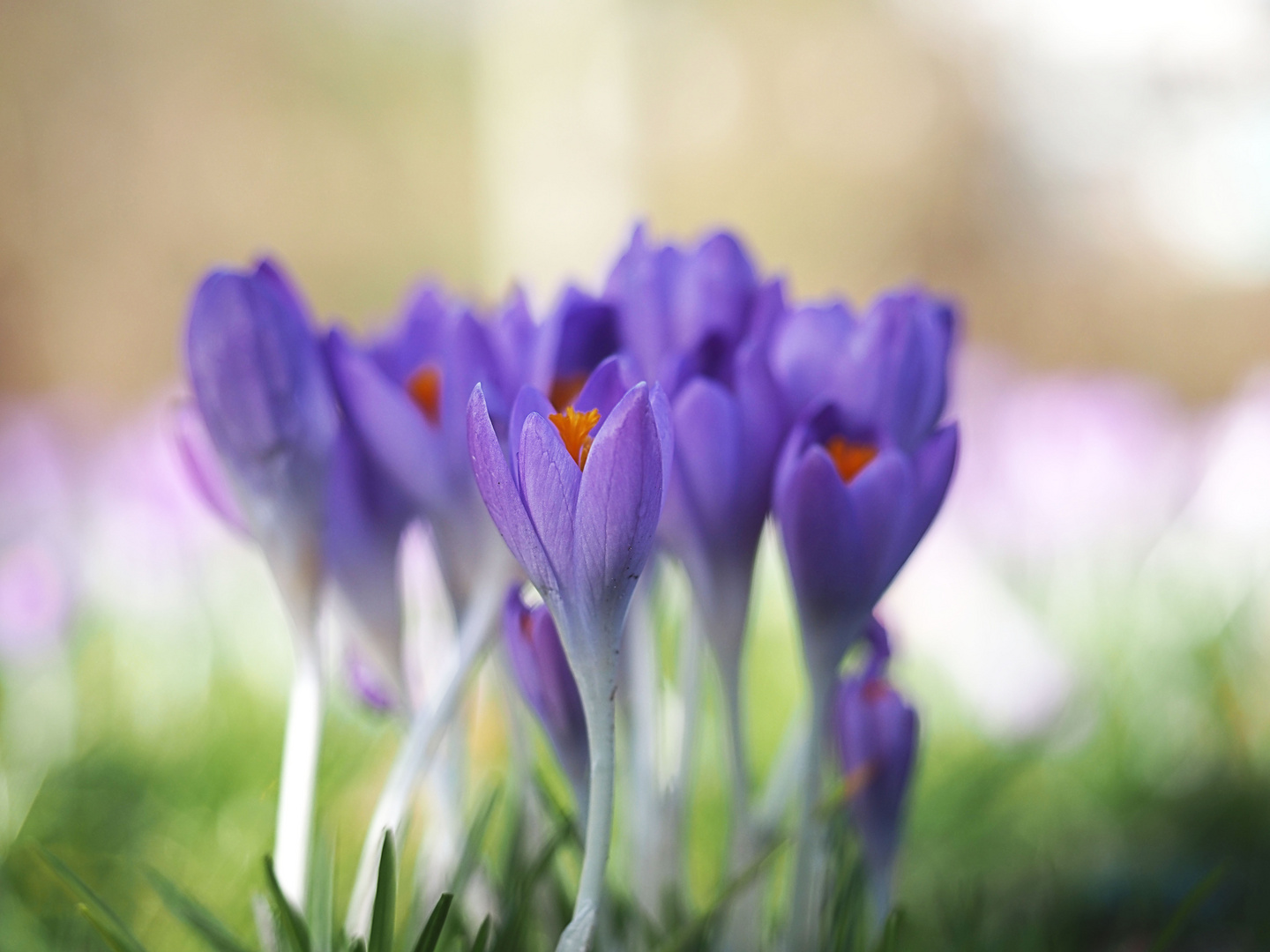 Frühling ist nah