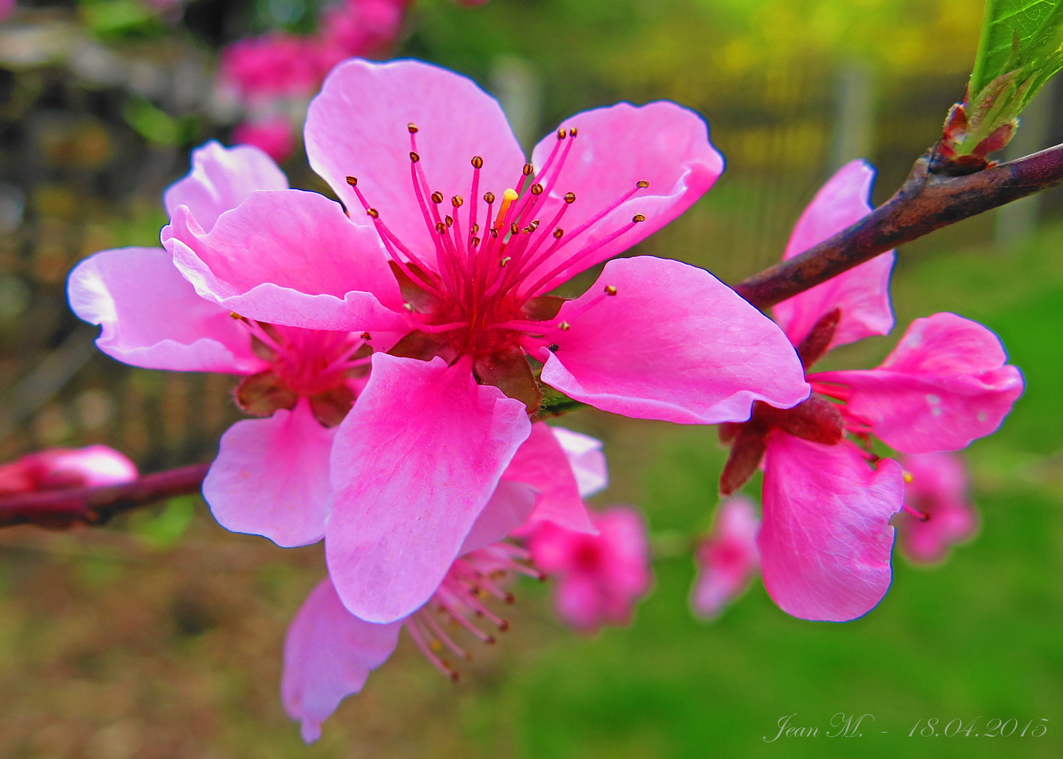 Frühling ist schön