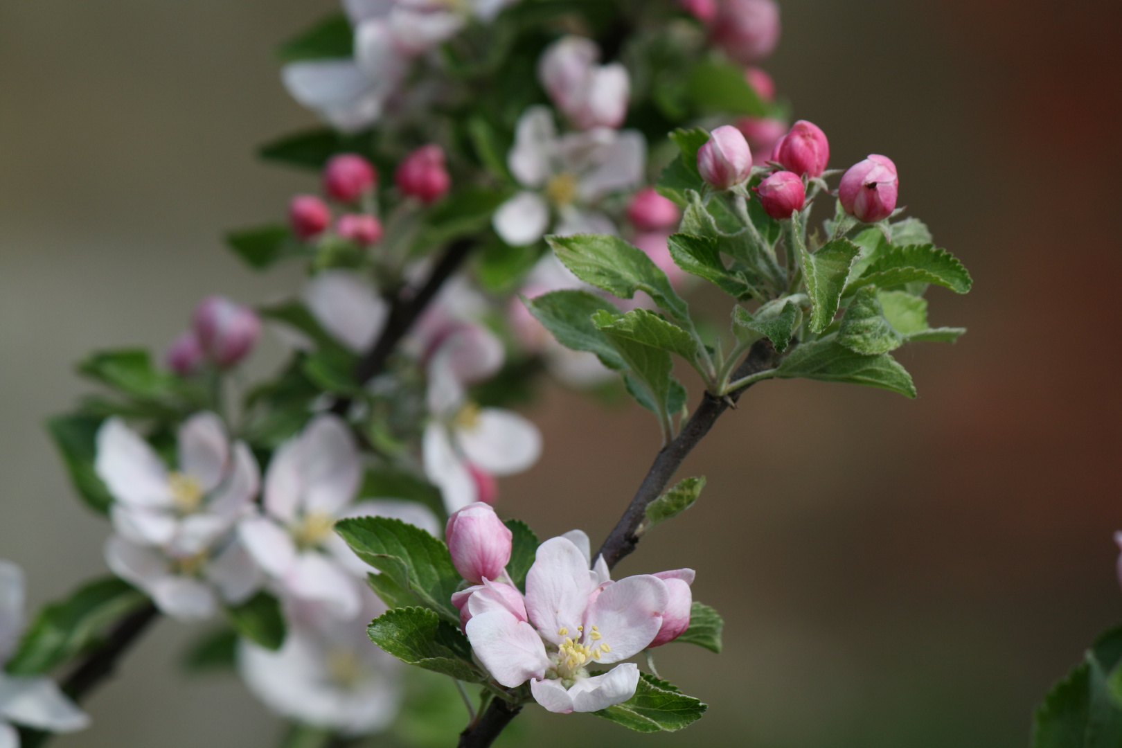 Frühling ist soooo schön