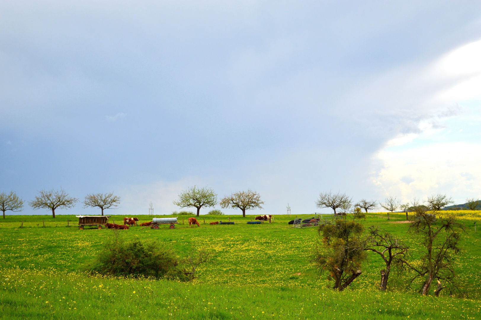 Frühling ist, wenn die Farben blühen