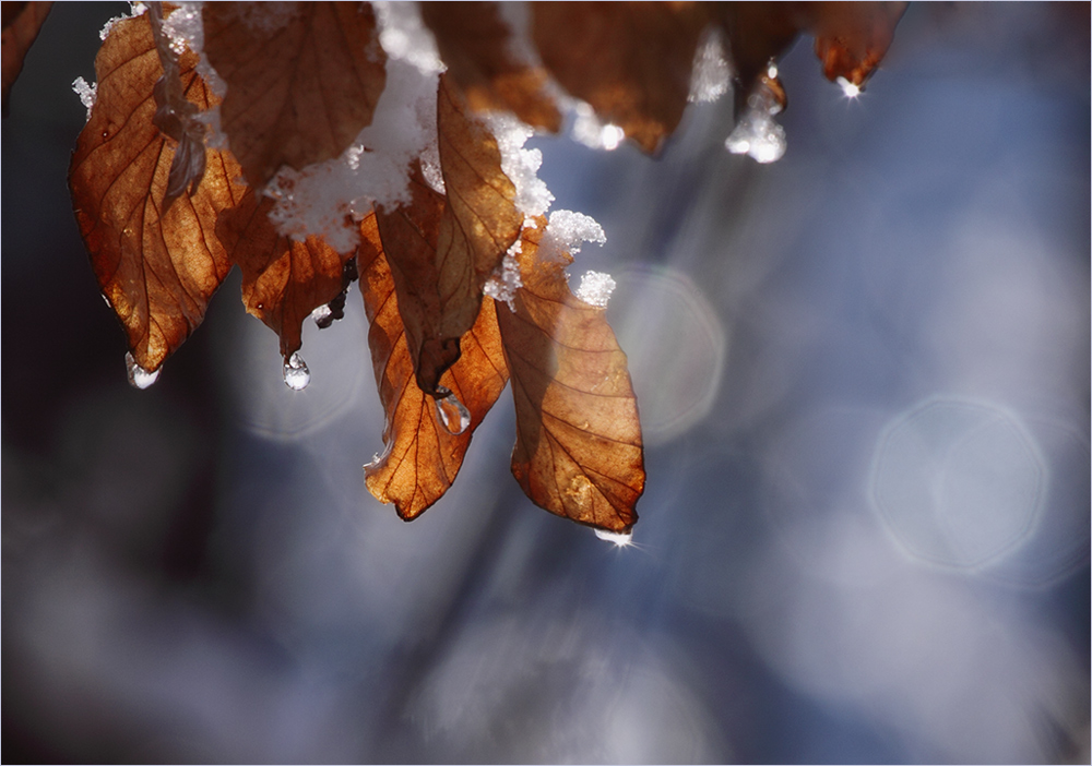 Frühling ist, wenn die Sonne Schnee und Eis zum Schmelzen bringt.