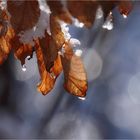 Frühling ist, wenn die Sonne Schnee und Eis zum Schmelzen bringt.