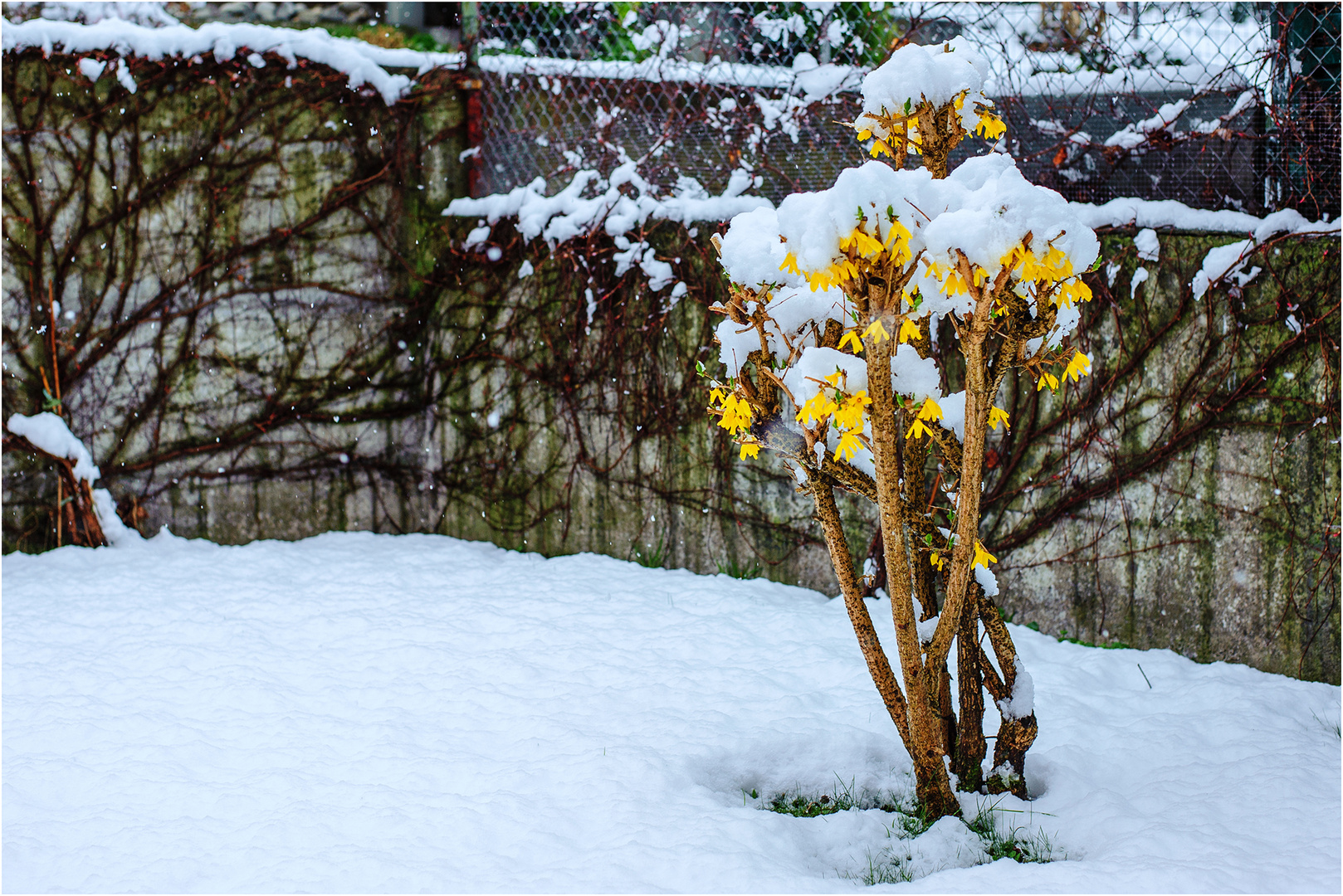 Frühling ist's ;-)