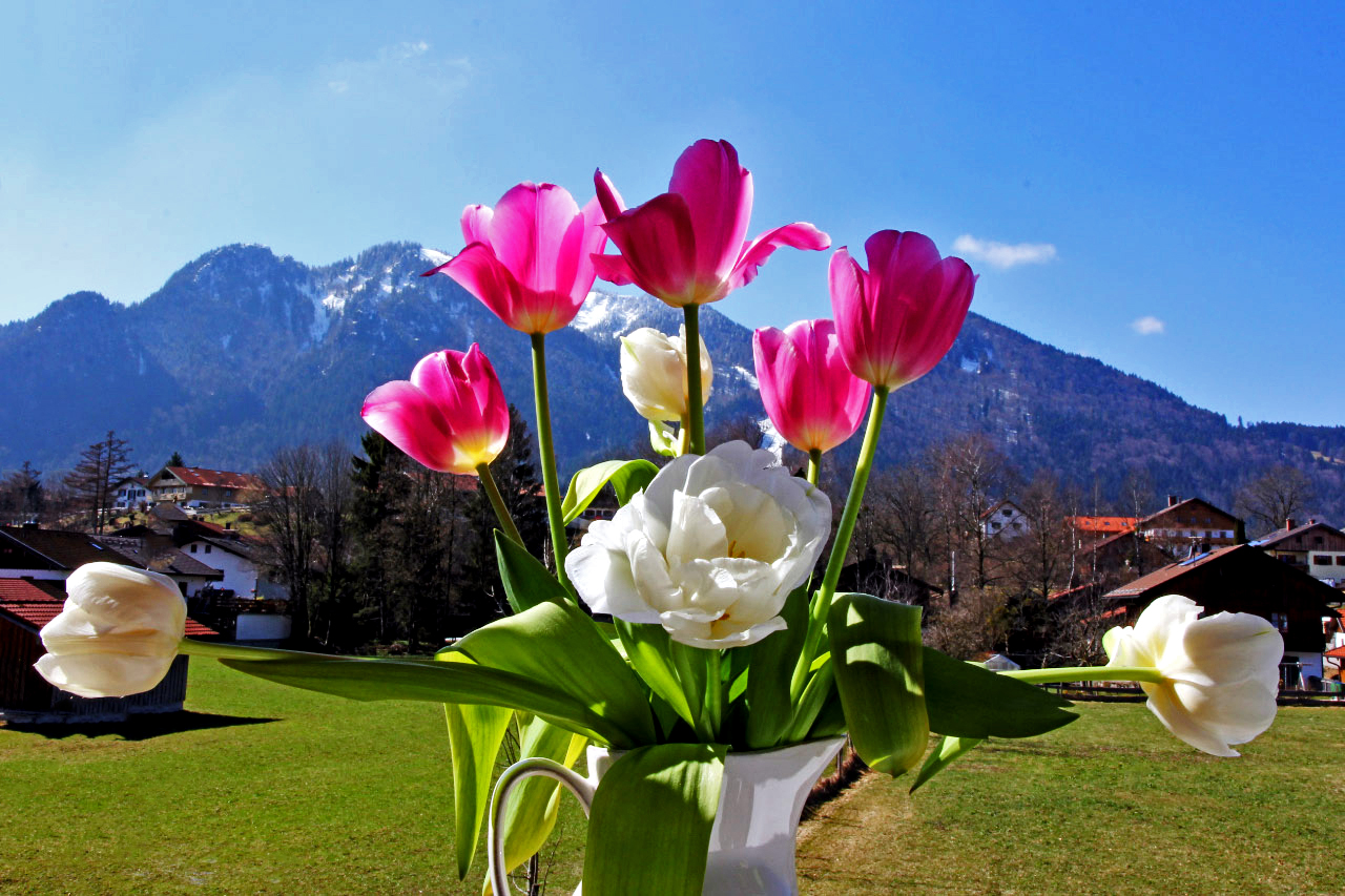 Frühling ist's