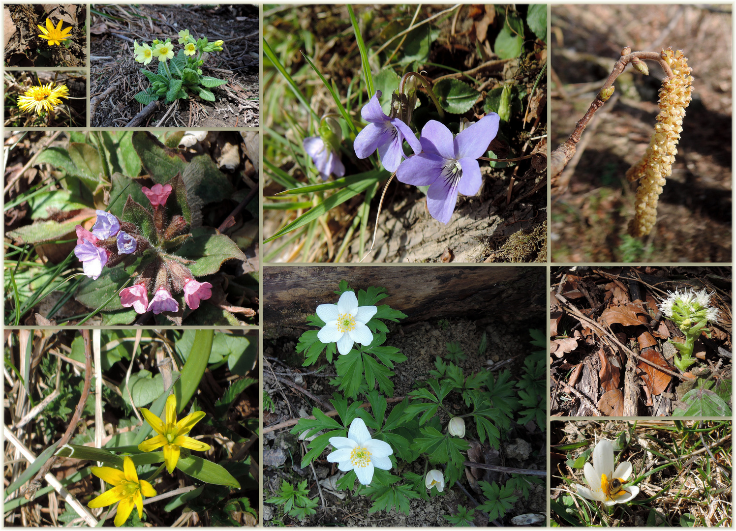 Frühling ist`s