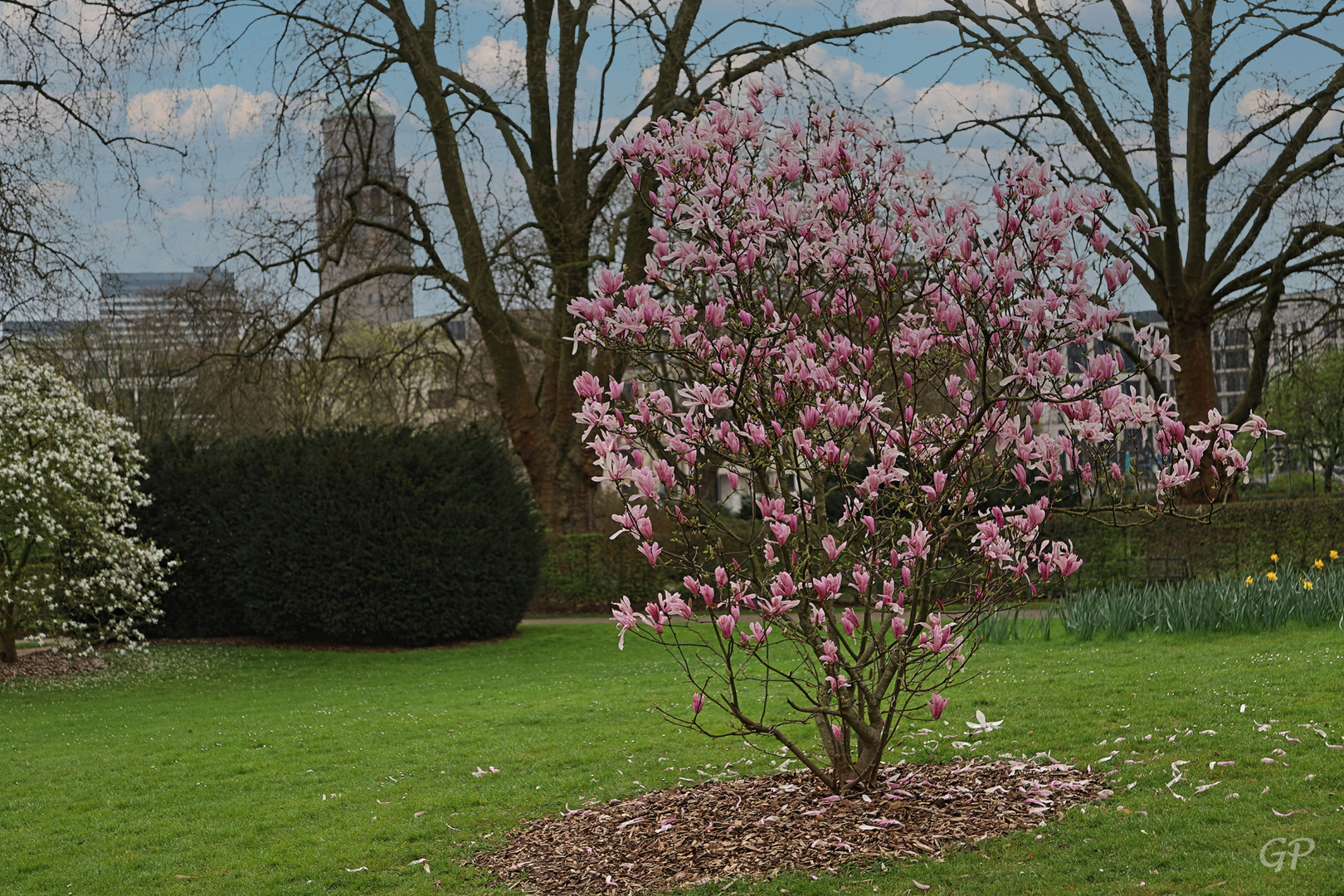 Frühling IV