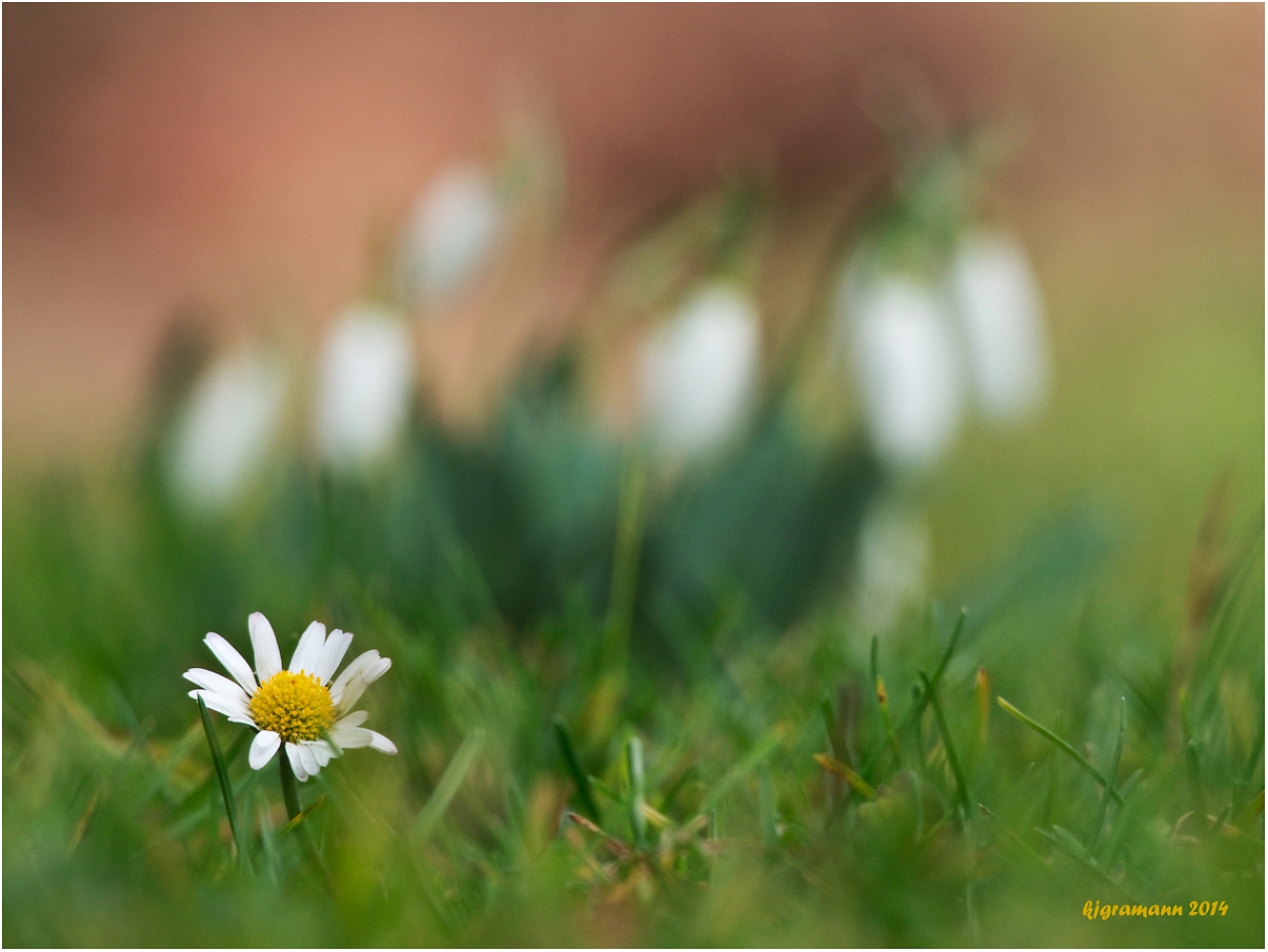 frühling IV......