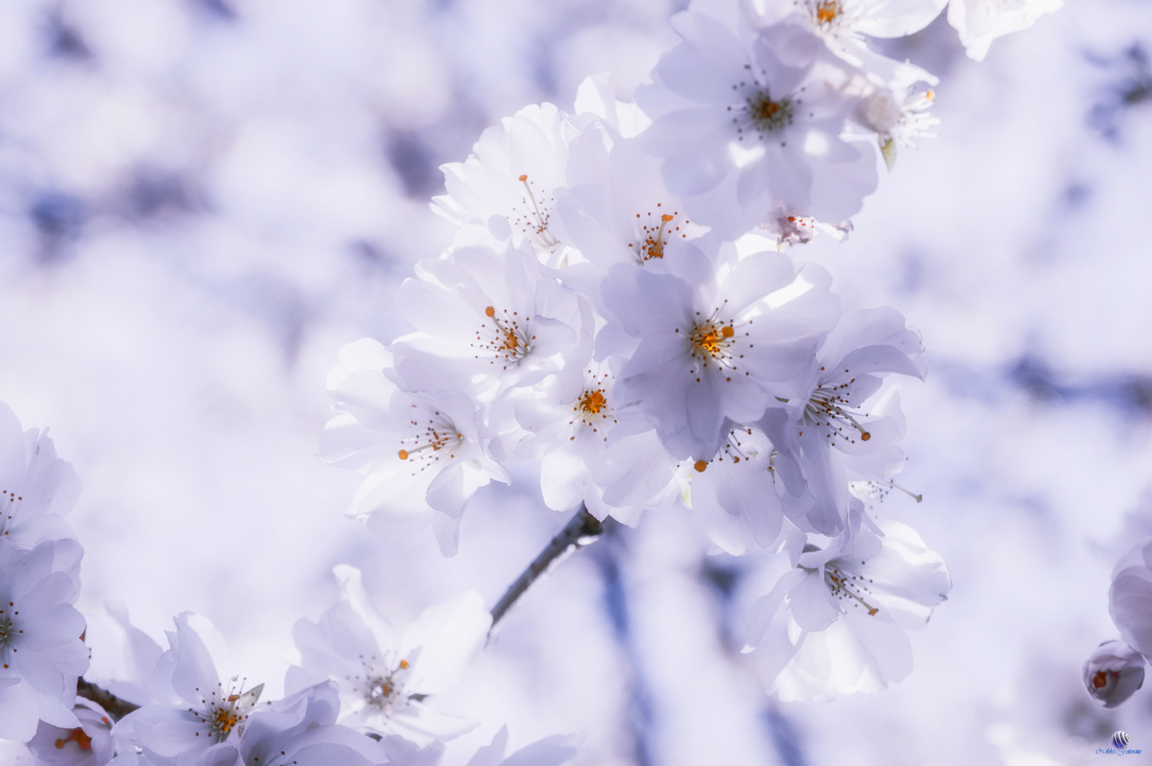 Frühling kehrt ein