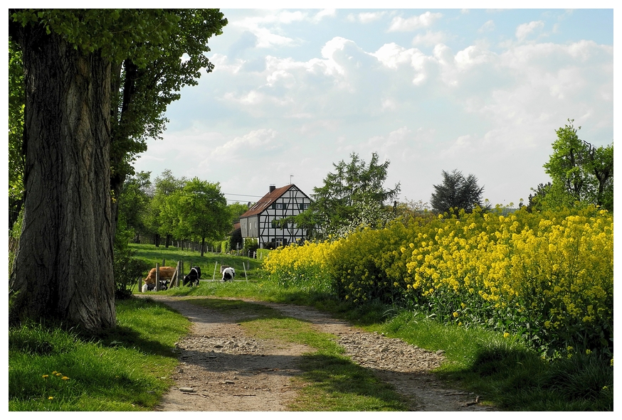 Frühling - kitschig schön