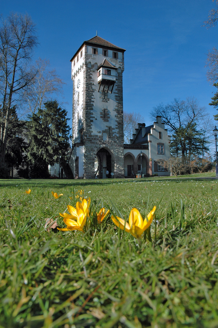 Frühling komm