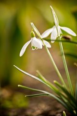 Frühling komm raus!