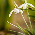 Frühling komm raus!