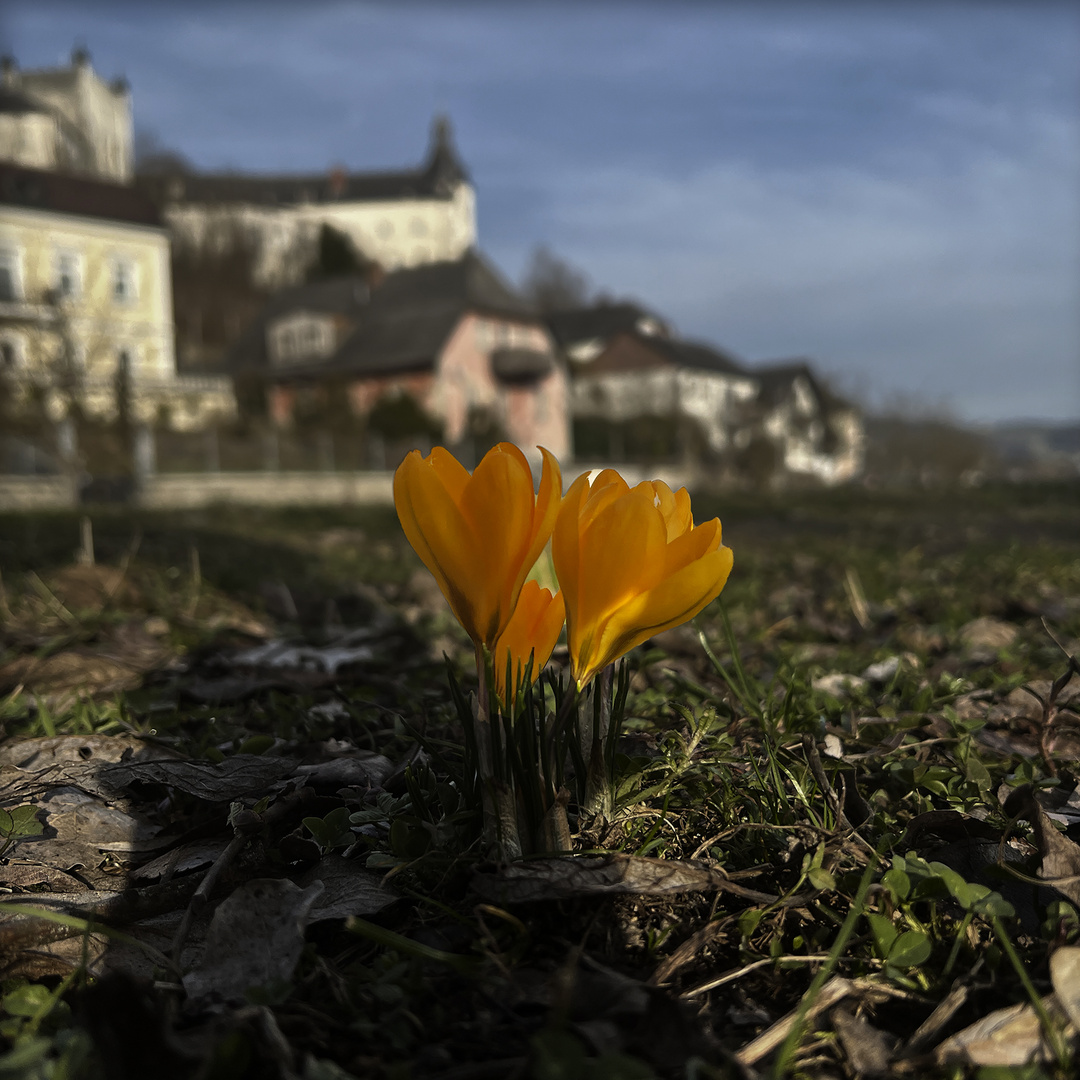 Frühling kommt !