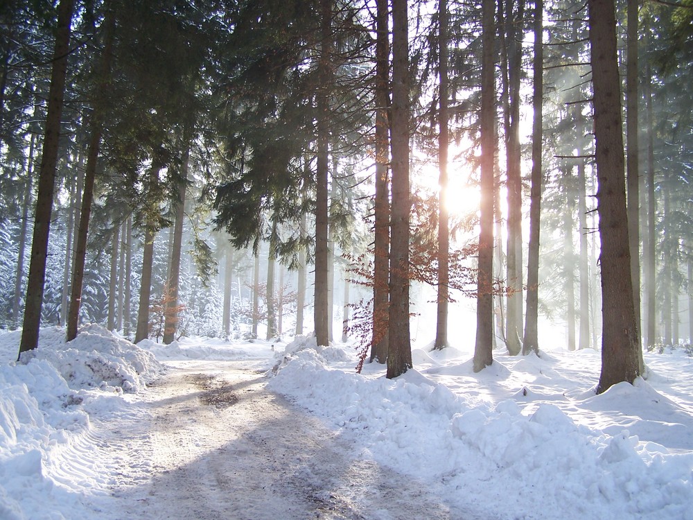 Frühling kommt bald