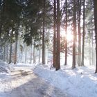 Frühling kommt bald