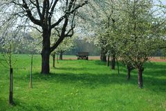 Frühling kommt