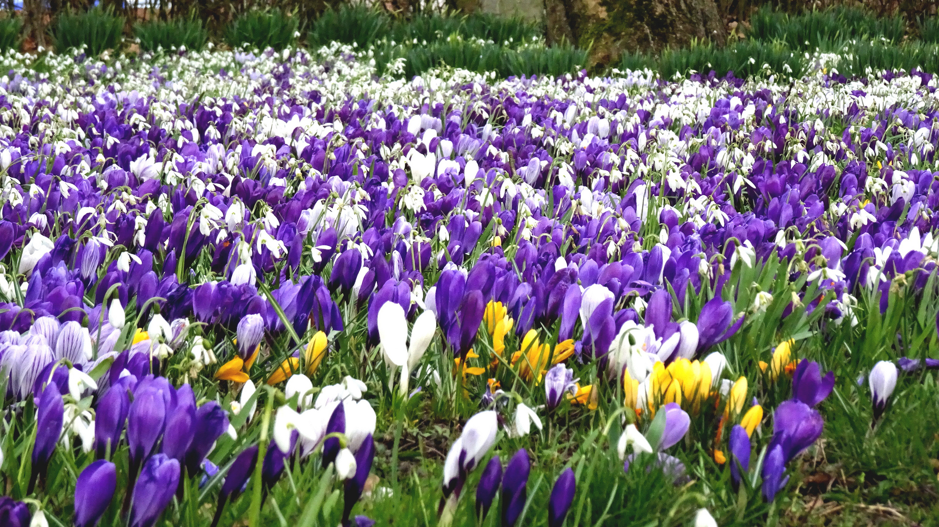 Frühling kommt endlich...