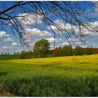 Frühling kommt ins Land